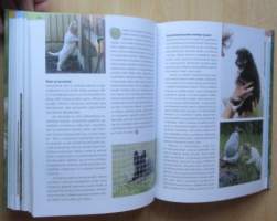 Koirien käyttäytyminen