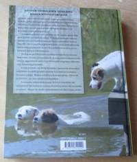 Koirien käyttäytyminen