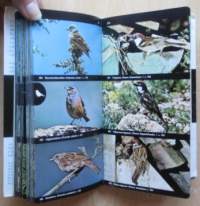 Linturetkiopas - Euroopan linnut värikuvina