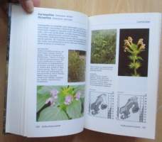 Pohjolan Kukat - Luonnonkasvit värikuvina