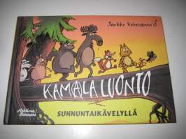 Kamala luonto : Sunnuntaikävelyllä