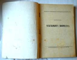 Pekka Lipposen seikkailuja 43  Sukukokous Roomassa