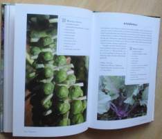 Arnon keittiökasvit