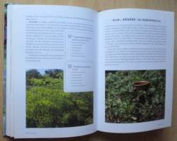 Arnon keittiökasvit