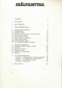 Leca-perustusten suunnitteluohjeet 1985