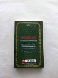 Joulun pikajunan arvoitus