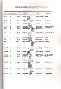 Savusaunasta sahalle