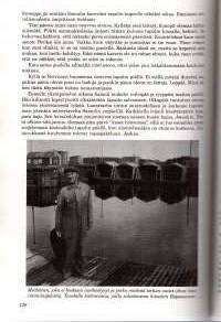 Savusaunasta sahalle