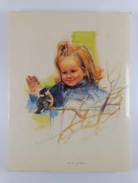 Nooan arkki eli kunnia sille jolle kunnia kuuluu