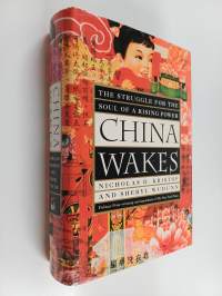 China wakes : the struggle for the soul of a rising power