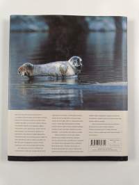 Hyle : Saimaan oma norppa