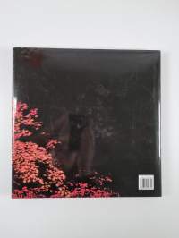 The most beautiful gardens in the world