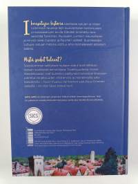 Ihmesatujen historia : näkökulmia kirjailijoiden, kansankertojien ja tutkijoiden traditioon