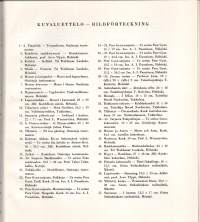 Hannes Autere Taidetta