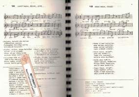 Neljäkymmentä karjalankielistä laulua