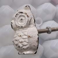 Kalustevetimet Valua painavat Pöllö aiheiset 6 kpl