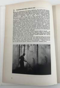 Ossin paremmat lässyt