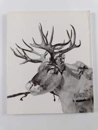 Aslak Le Petit Lapon