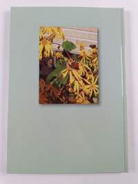 Pankki, jolla on historia : Längelmäen Säästöpankki 1905-2005 : 100 vuotta