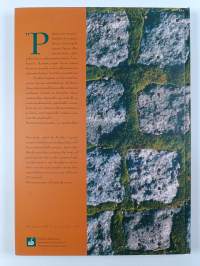 "Sitähä voi inspiroira" : Tauno Ahon ohjelmistoa 2-riviselle hanurille