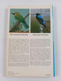 Keeping Softbilled Birds