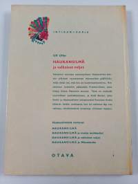 Haukansilmä ja valkoiset veljet : intiaaniseikkailu