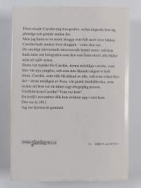 Skuggan över stenbänken