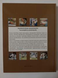 Kipsi : veistosten ja rakennuskoristeiden valmistus, käsittely ja huolto