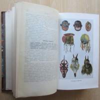 Kulttuurin alkuhistoria