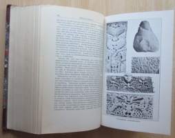 Kulttuurin alkuhistoria