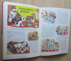 Lasten Kirjava Non Stop