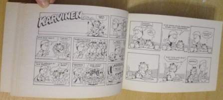 Karvinen panee läskiksi 17. kirja