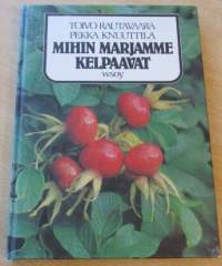 Mihin marjamme kelpaavat