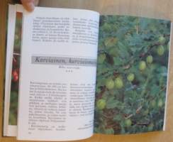 Mihin marjamme kelpaavat