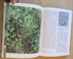 Mihin marjamme kelpaavat