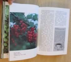 Mihin marjamme kelpaavat