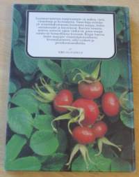 Mihin marjamme kelpaavat