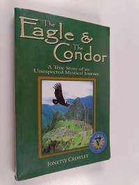 The Eagle and the Condor : A True Story of an Unexpected Mystical Journey