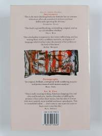 Letters from a war zone : writings 1976-1987