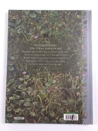 Den långa vandringen