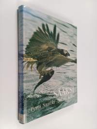Sääksi