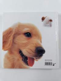 The Puppy : Artlist Collection