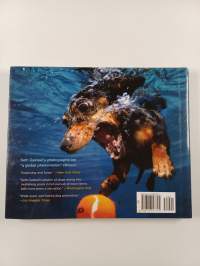 Underwater Dogs