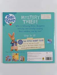Mystery Thief!