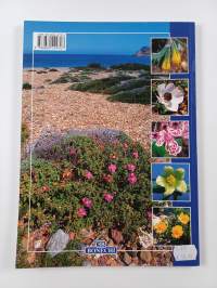 The flowers of Crete
