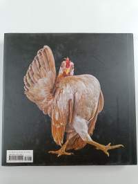 Chickens
