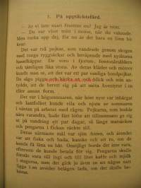 Den gamla slottsruinen