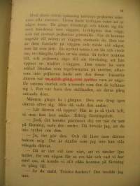 Den gamla slottsruinen