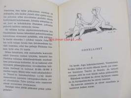 Törkeätä lievempää. 33 juttua