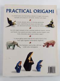 Practical origami : a step-by-step guide to the ancient art of paperfolding